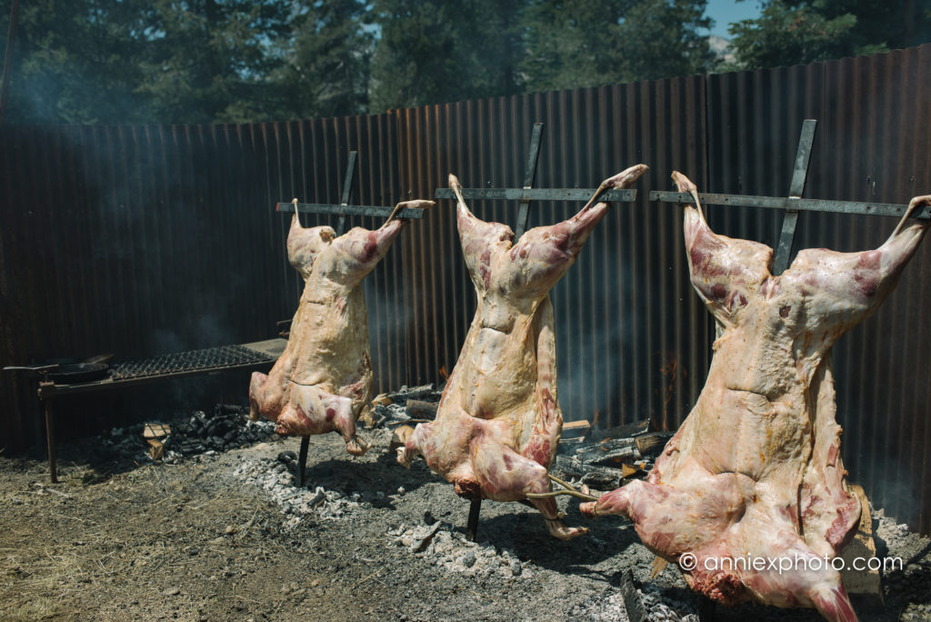 Pigs on the asado